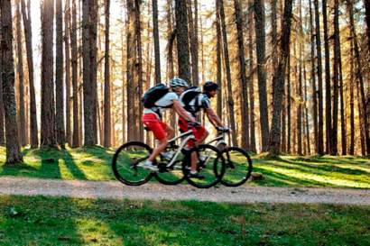 radfahren_laerchenwald_ehrwald_c_tiroler_zugspitz_arena_u_wiesmeier.jpg